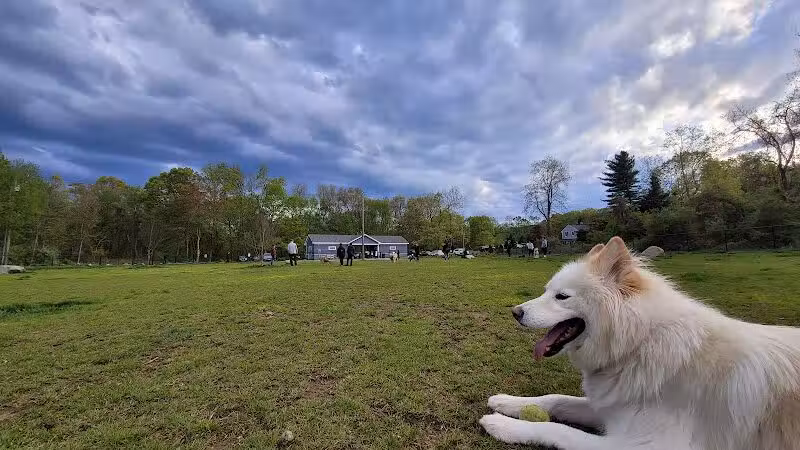 Eisenhower Dog Park - Milford, CT