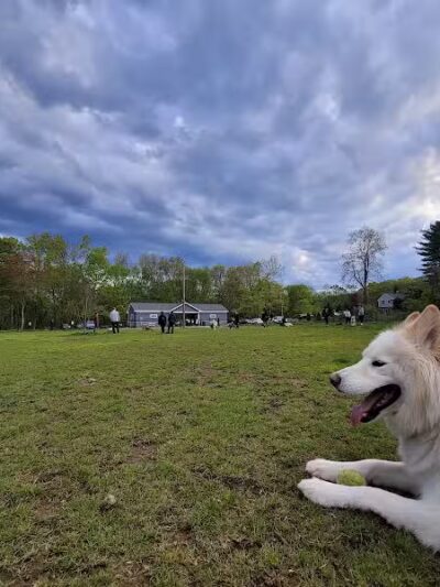 Eisenhower Dog Park - Milford, CT