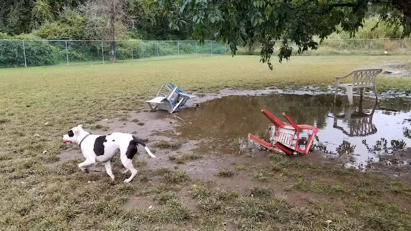 Eisenhower Dog Park - Milford, CT
