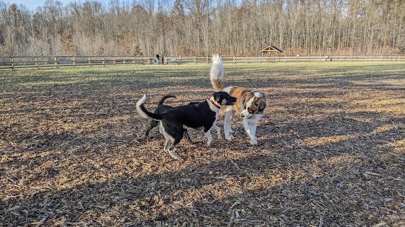 Bark Park at Miami Meadows - Milford, OH
