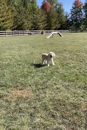 Bark Park at Miami Meadows - Milford, OH