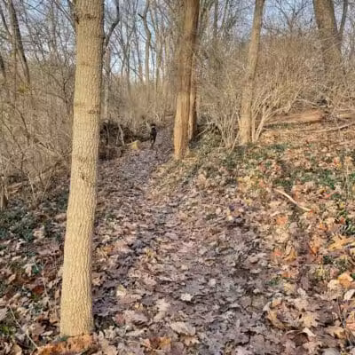 Carriage Way Park - Milford, OH