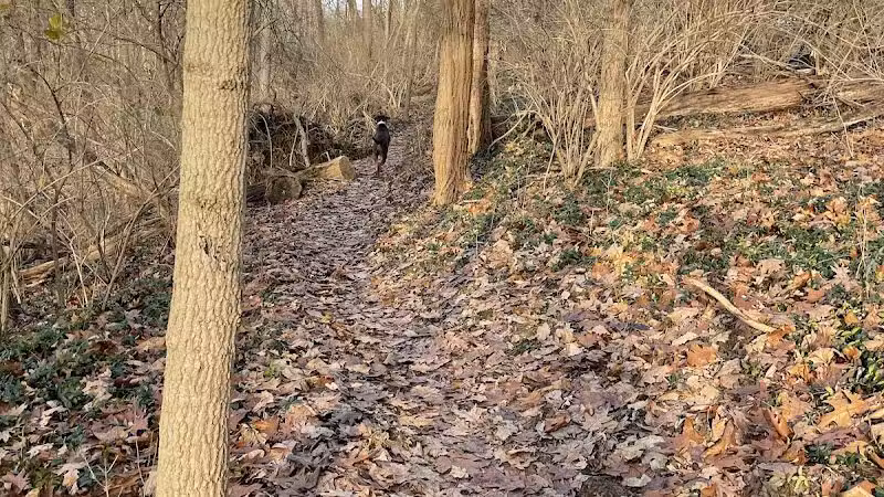 Carriage Way Park - Milford, OH