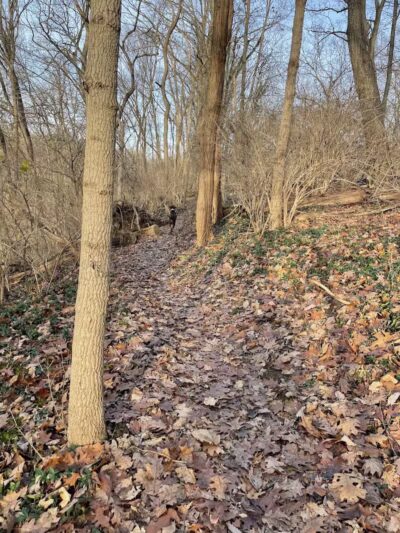 Carriage Way Park - Milford, OH