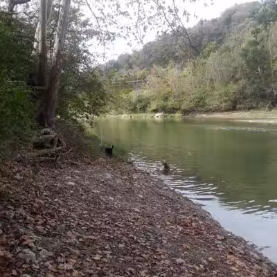 Carriage Way Park - Milford, OH