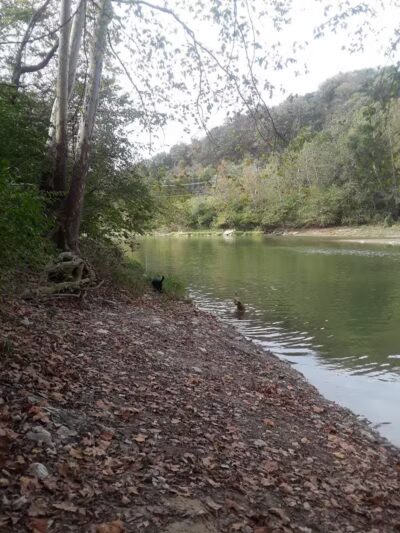 Carriage Way Park - Milford, OH