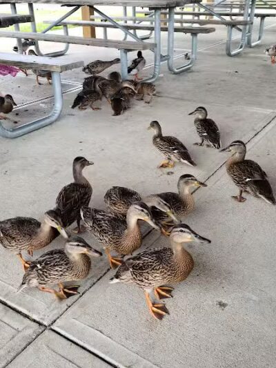 Miami Meadows Park - Milford, OH