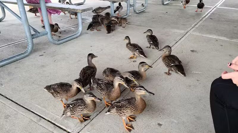 Miami Meadows Park - Milford, OH