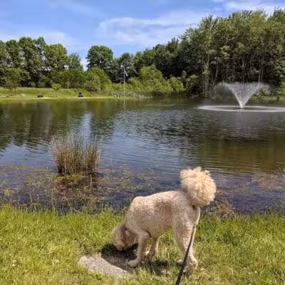 Miami Meadows Park - Milford, OH