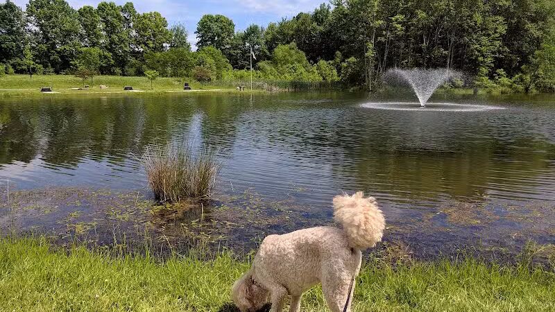 Miami Meadows Park - Milford, OH