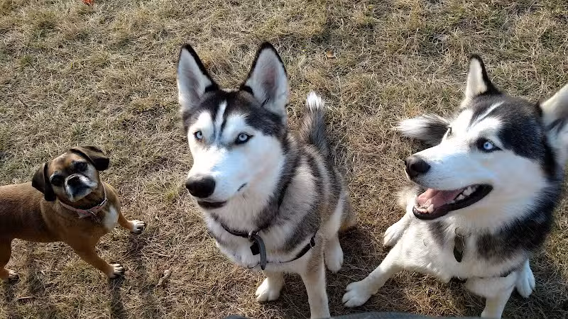Butler Farm Dog Park - Millbury, MA