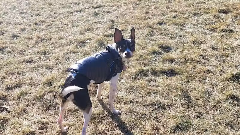 Butler Farm Dog Park - Millbury, MA