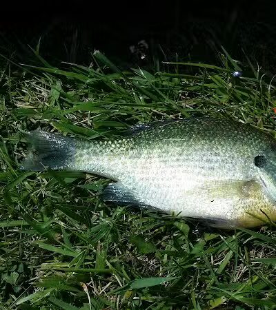 Friendship Park - Millbury, OH