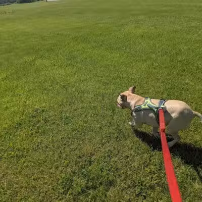Friendship Park - Millbury, OH