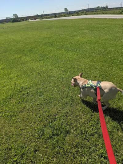 Friendship Park - Millbury, OH