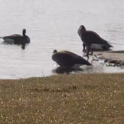Friendship Park - Millbury, OH