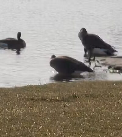 Friendship Park - Millbury, OH