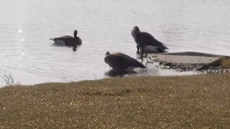 Friendship Park - Millbury, OH