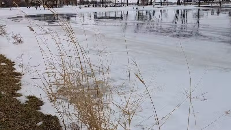Friendship Park - Millbury, OH