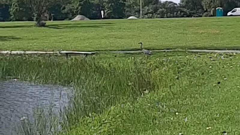 Veteran's Memorial Park - Millbury, OH