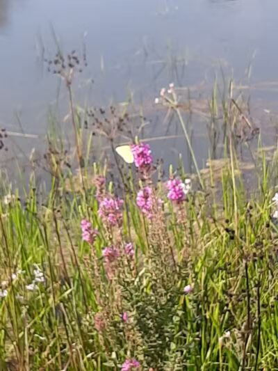 Veteran's Memorial Park - Millbury, OH