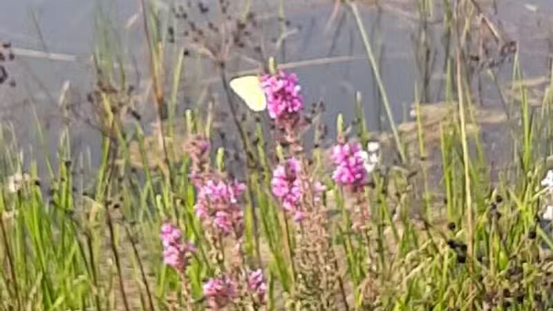 Veteran's Memorial Park - Millbury, OH