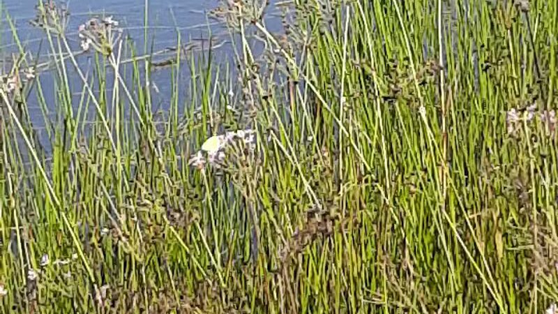 Veteran's Memorial Park - Millbury, OH