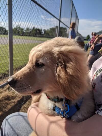 Veteran's Memorial Park - Millbury, OH