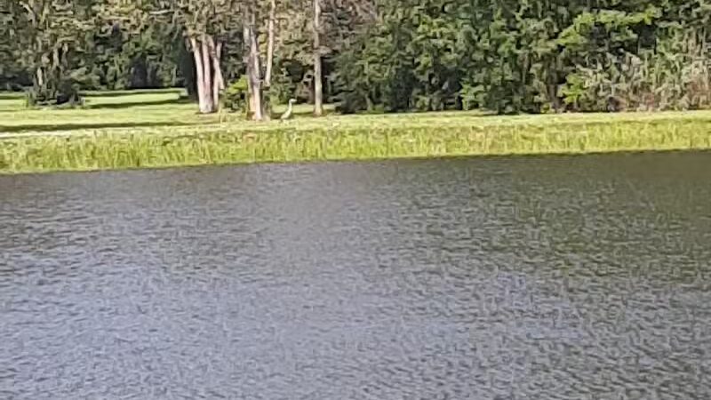 Veteran's Memorial Park - Millbury, OH