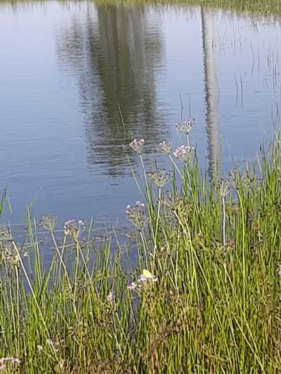 Veteran's Memorial Park - Millbury, OH