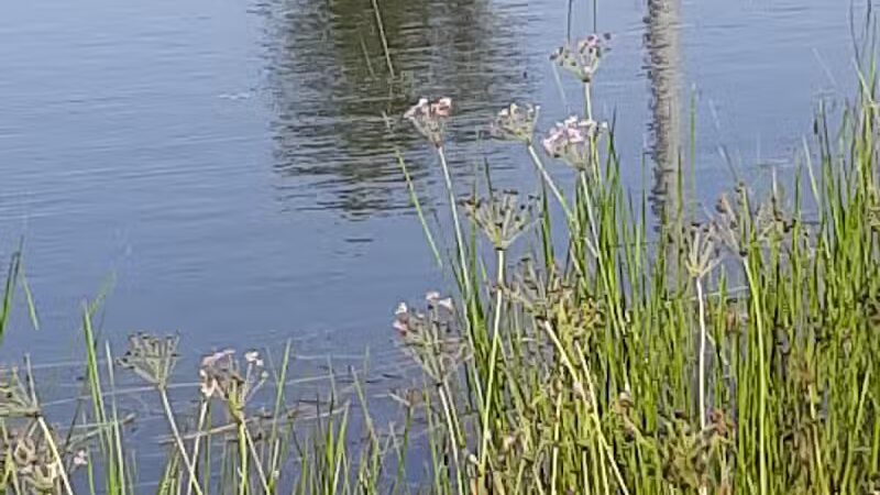 Veteran's Memorial Park - Millbury, OH