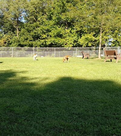 Pampered Paws Dog Park - Millersburg, OH