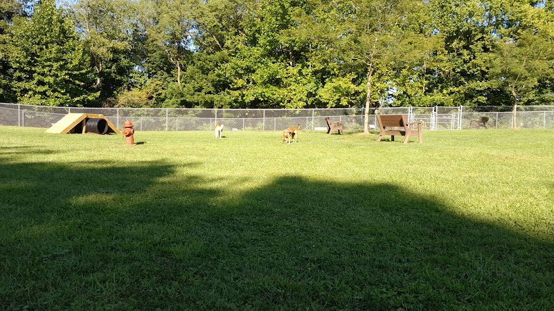 Pampered Paws Dog Park - Millersburg, OH