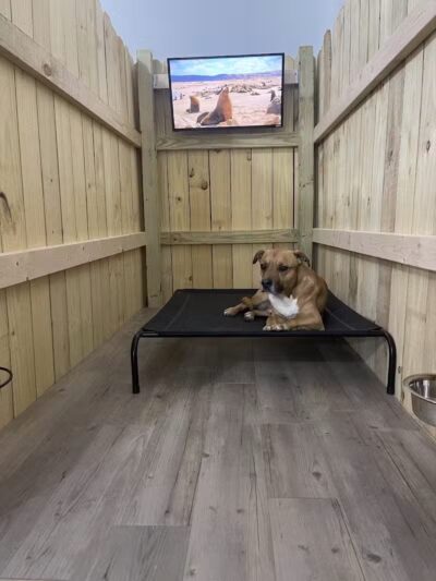 Buckeye Lake Bark Club - Millersport, OH