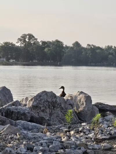 Buckeye Lake State Park - Millersport, OH