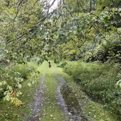 Crowl St. Trailhead - Stark Parks - Minerva, OH