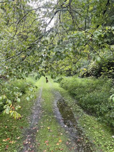 Crowl St. Trailhead - Stark Parks - Minerva, OH
