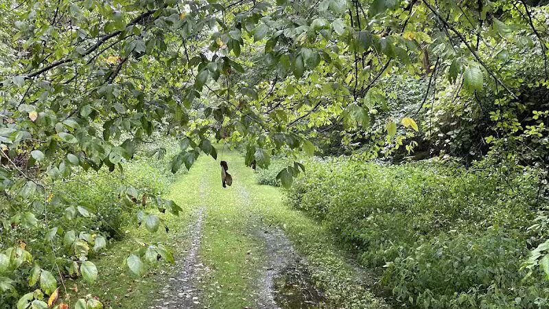 Crowl St. Trailhead - Stark Parks - Minerva, OH