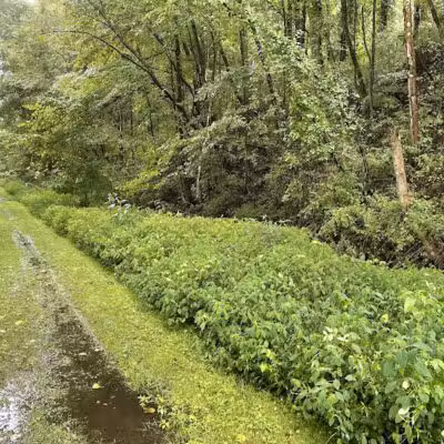 Crowl St. Trailhead - Stark Parks - Minerva, OH