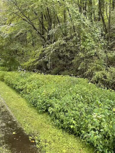 Crowl St. Trailhead - Stark Parks - Minerva, OH