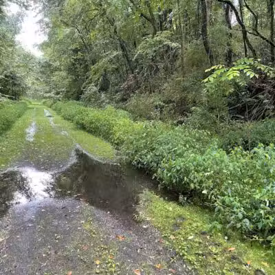 Crowl St. Trailhead - Stark Parks - Minerva, OH