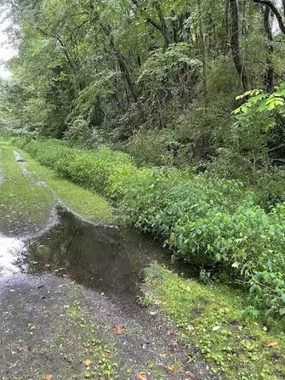 Crowl St. Trailhead - Stark Parks - Minerva, OH