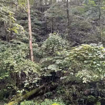 Crowl St. Trailhead - Stark Parks - Minerva, OH