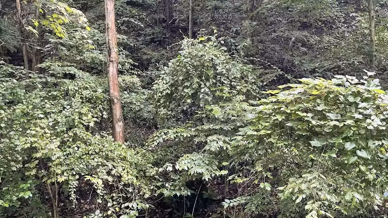 Crowl St. Trailhead - Stark Parks - Minerva, OH