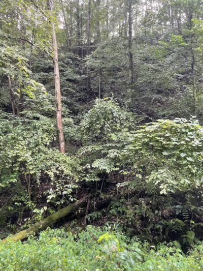 Crowl St. Trailhead - Stark Parks - Minerva, OH