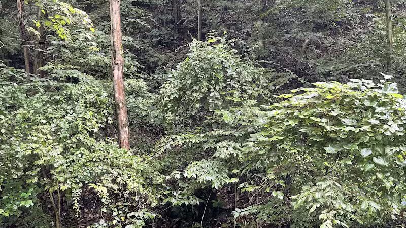 Crowl St. Trailhead - Stark Parks - Minerva, OH