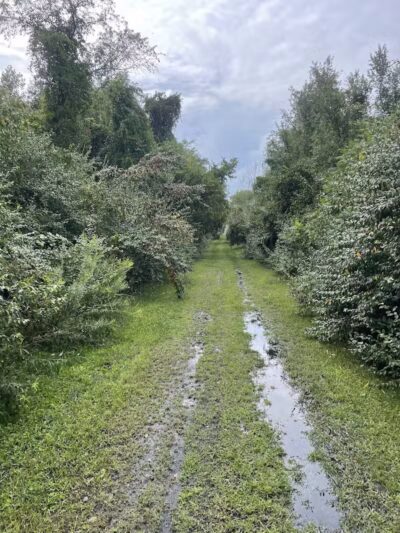 Crowl St. Trailhead - Stark Parks - Minerva, OH