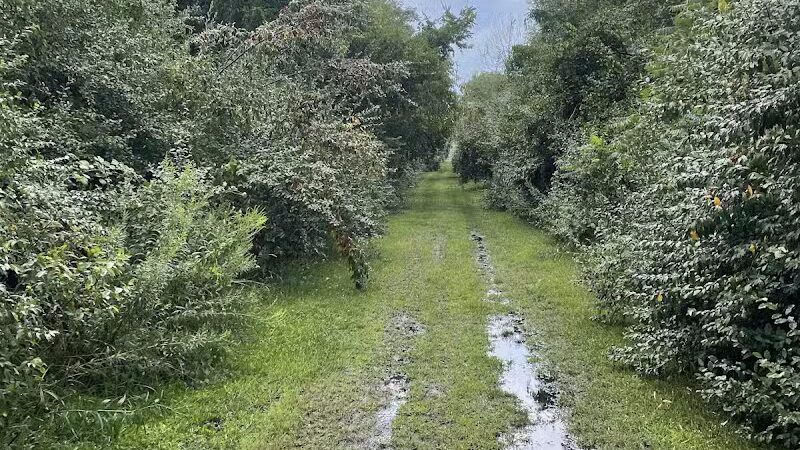 Crowl St. Trailhead - Stark Parks - Minerva, OH