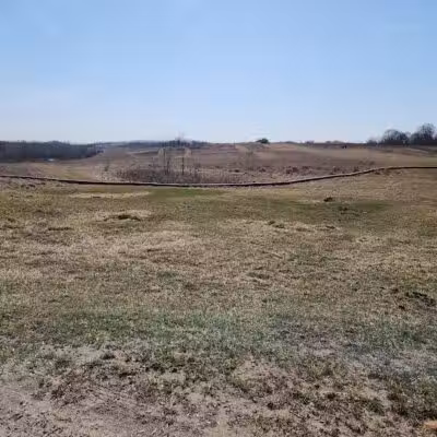 Mingo Sportsman Club Field Trial Grounds - Mingo Junction, OH