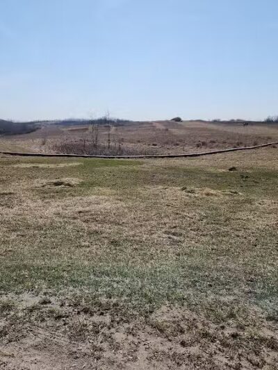 Mingo Sportsman Club Field Trial Grounds - Mingo Junction, OH